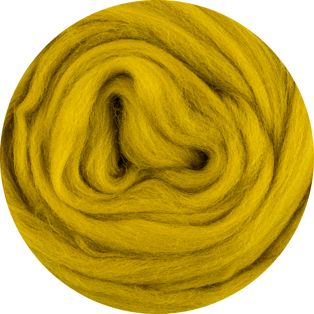 Roving en laine mérinos biologique - Moutarde