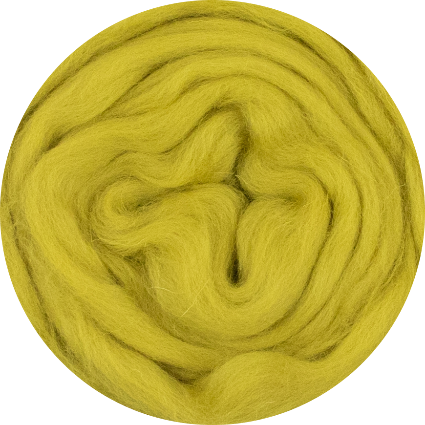 Organic Merino Wool Roving - Pistache
