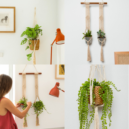 Macrame Plant Hanger Duo with Patterns