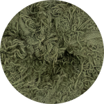 Cotton Frizz Ribbon - Sage