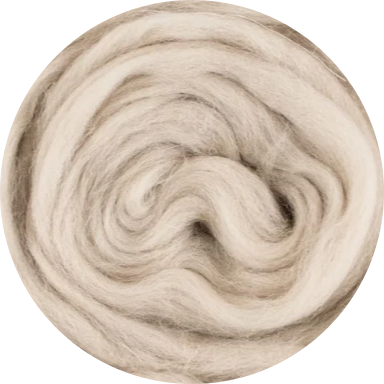 Mèche de laine mérinos biologique - Beige