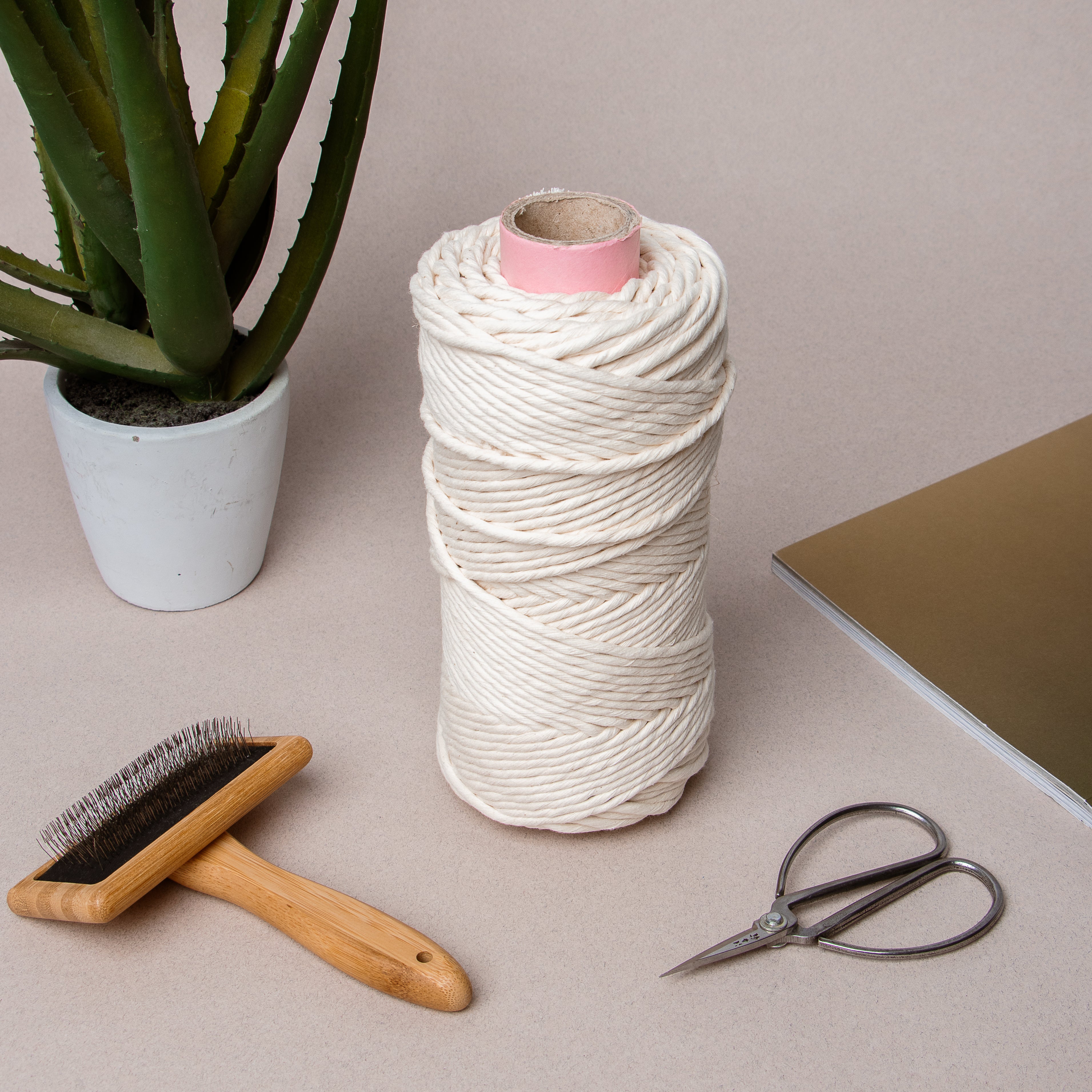 Macrame Plant Hanger Duo with Patterns