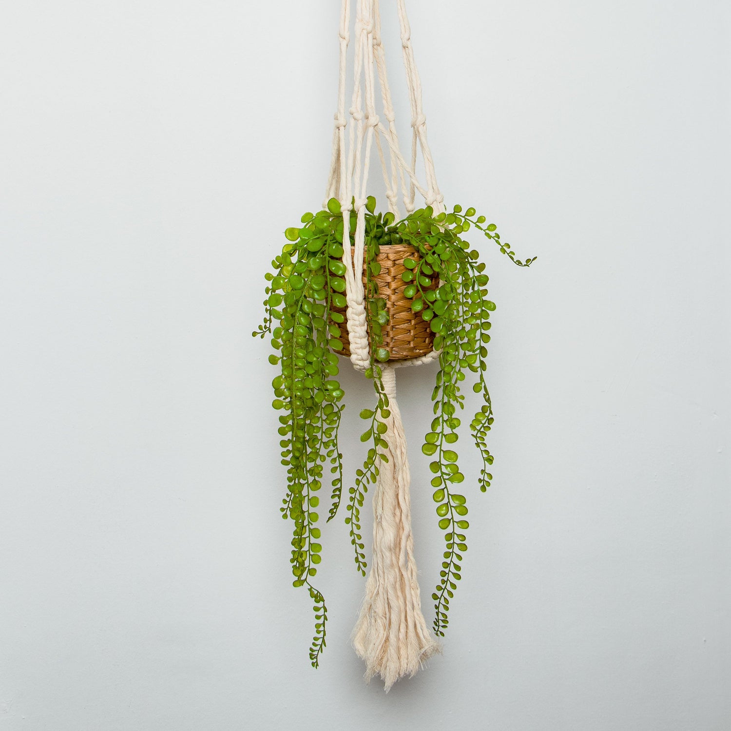 Macrame Plant Hanger Duo with Patterns