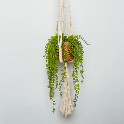 Macrame Plant Hanger Duo with Patterns