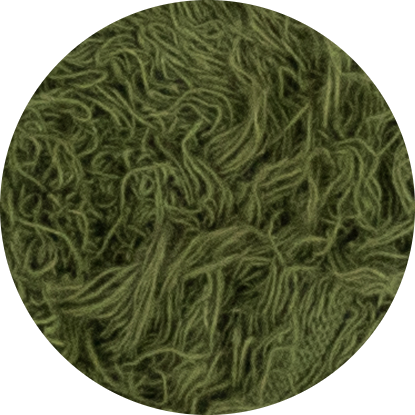 Cotton Ribbon Roll - Garden Green