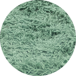 Cotton Ribbon Roll - Spearmint