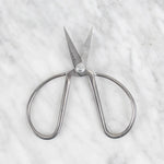 Metal Clamps + Fiber Brush + Scissors