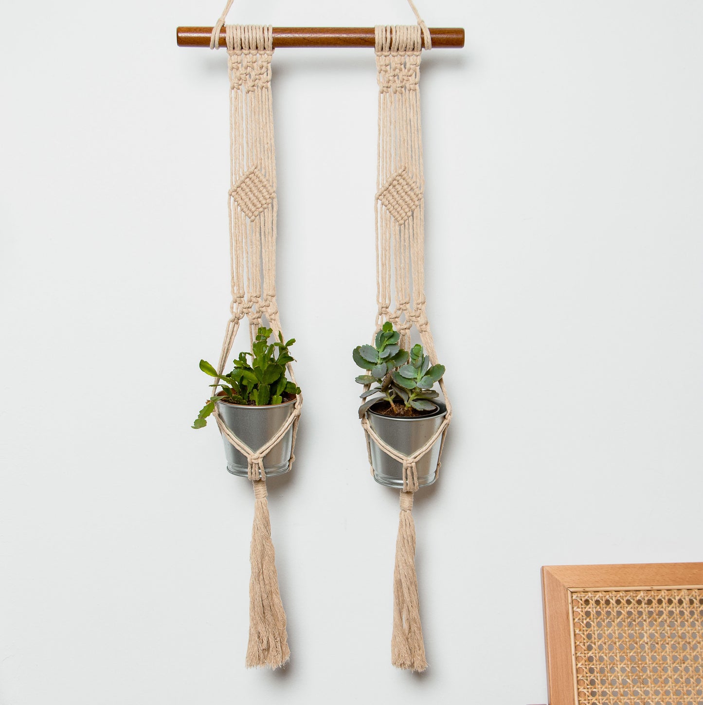 Macrame Plant Hanger Kit with Pattern - Cactus