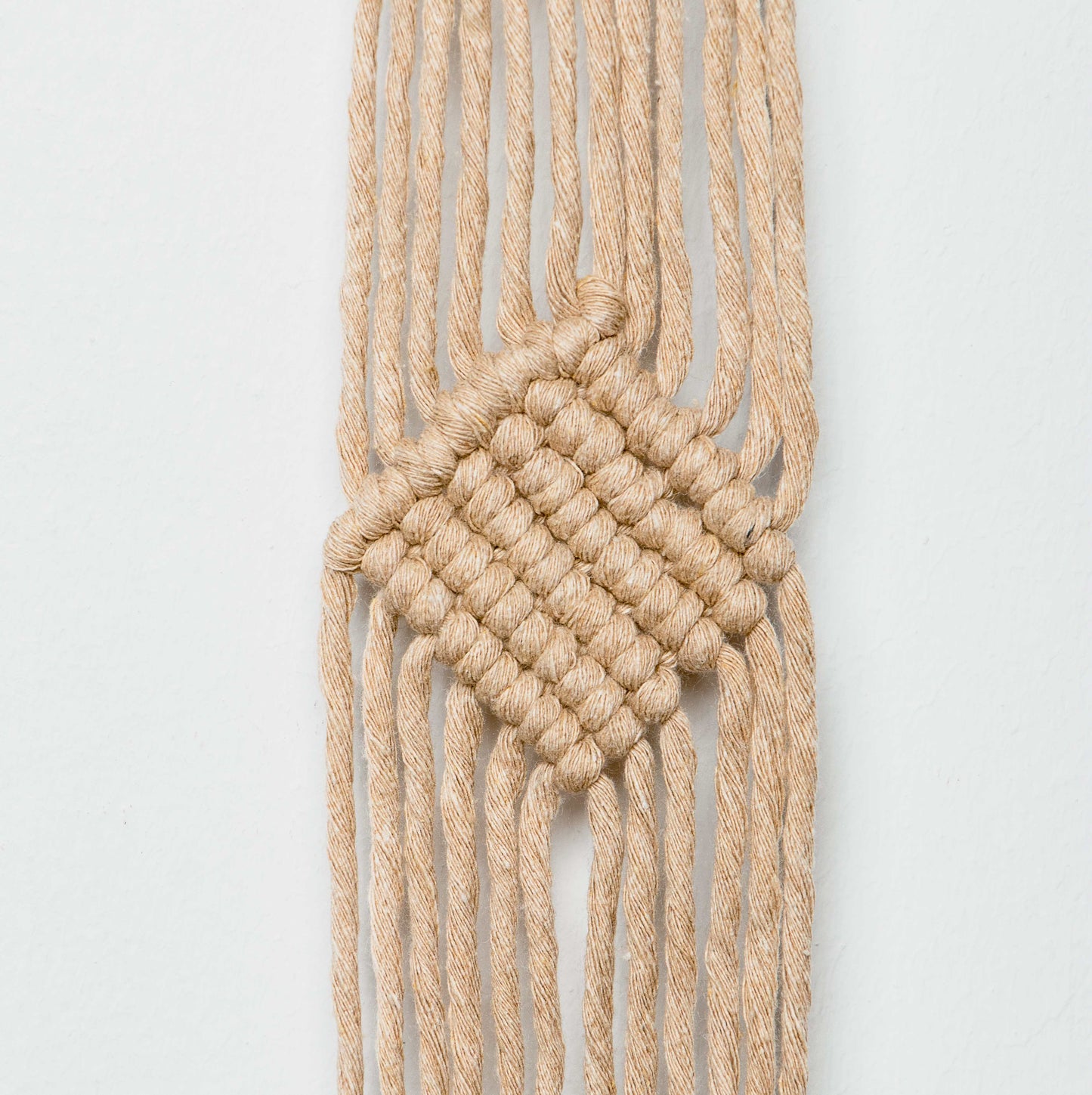 Macrame Plant Hanger Kit with Pattern - Cactus