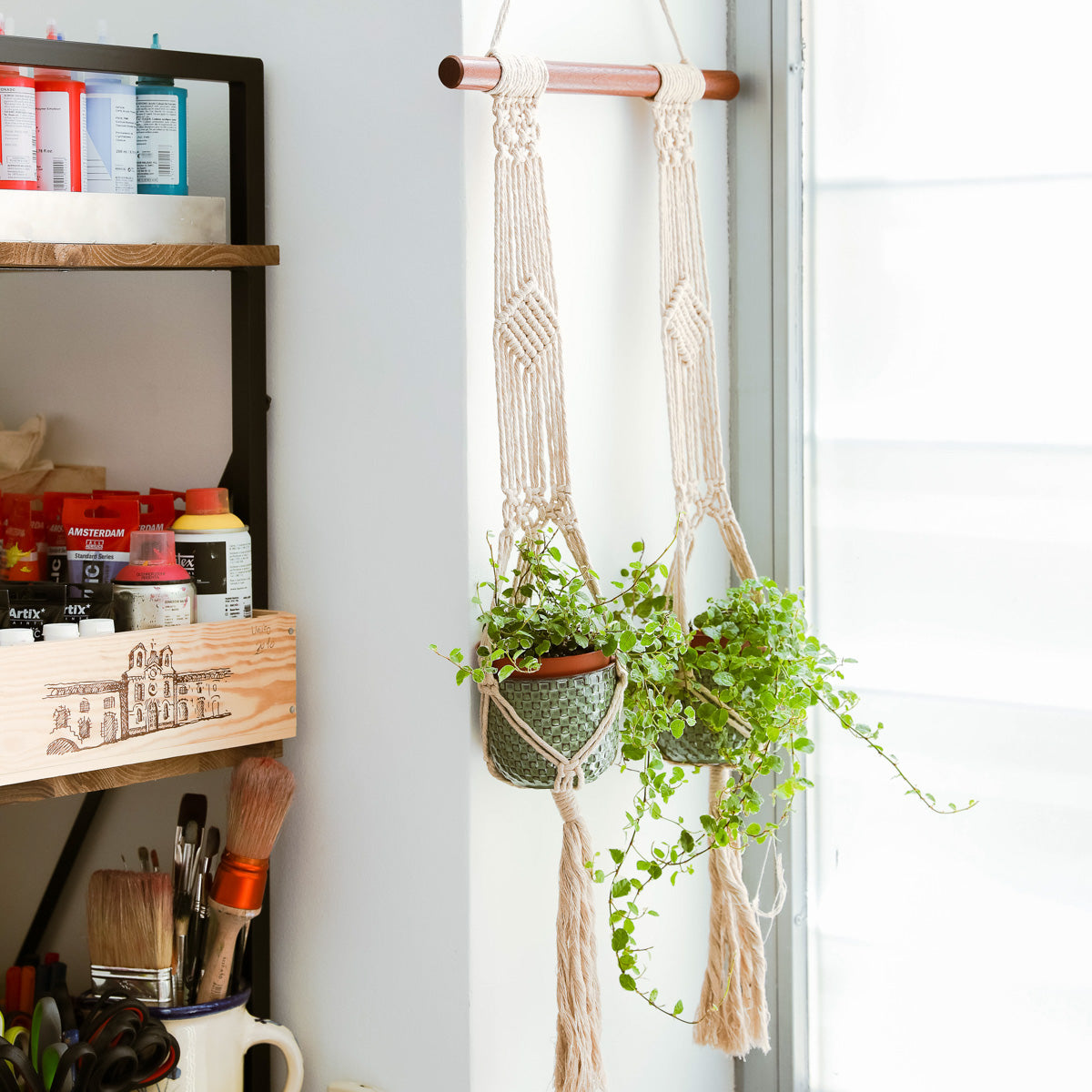 Macrame Plant Hanger Kit with Pattern - Cactus