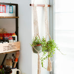 Macrame Plant Hanger Kit with Pattern - Cactus