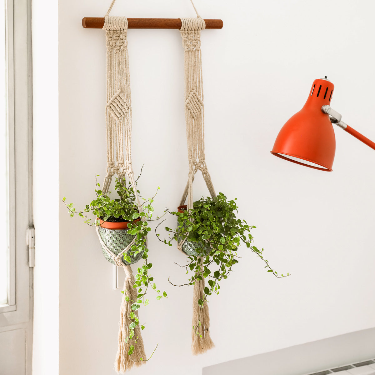 Double hand dyed macrame top plant hanger