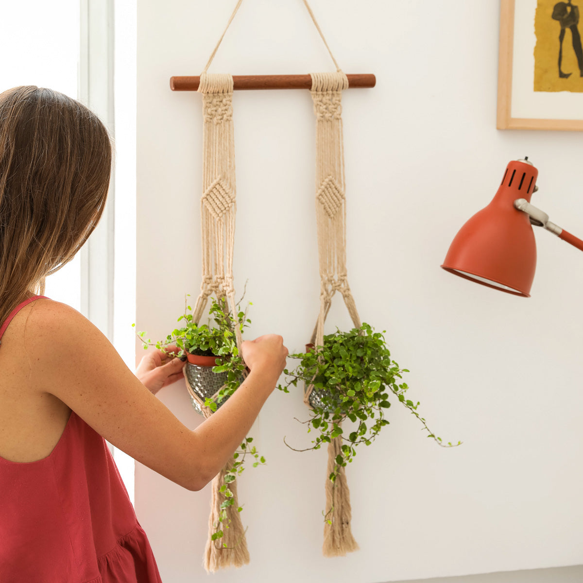 Double hand dyed macrame plant authentic hanger