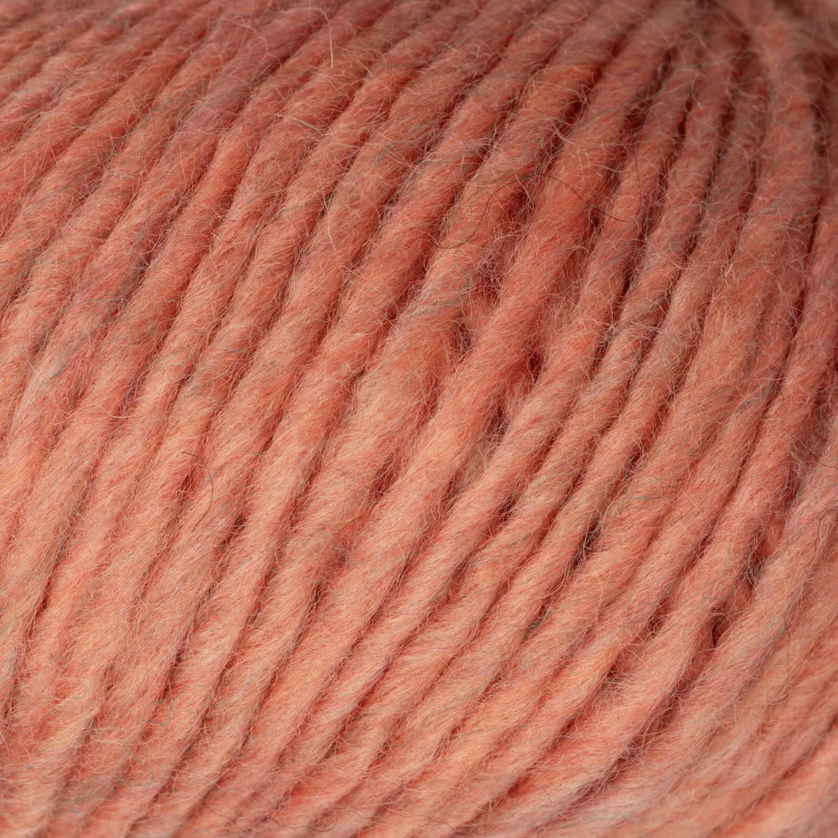 Woolly - Copper