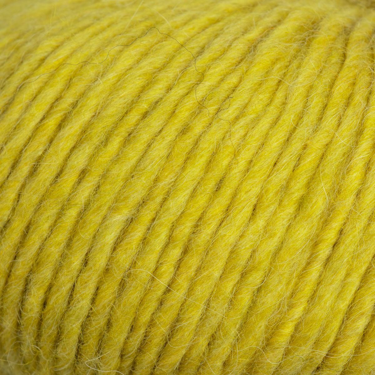 Woolly - Sulphur